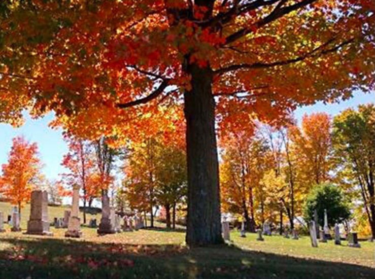 St James Website New-15